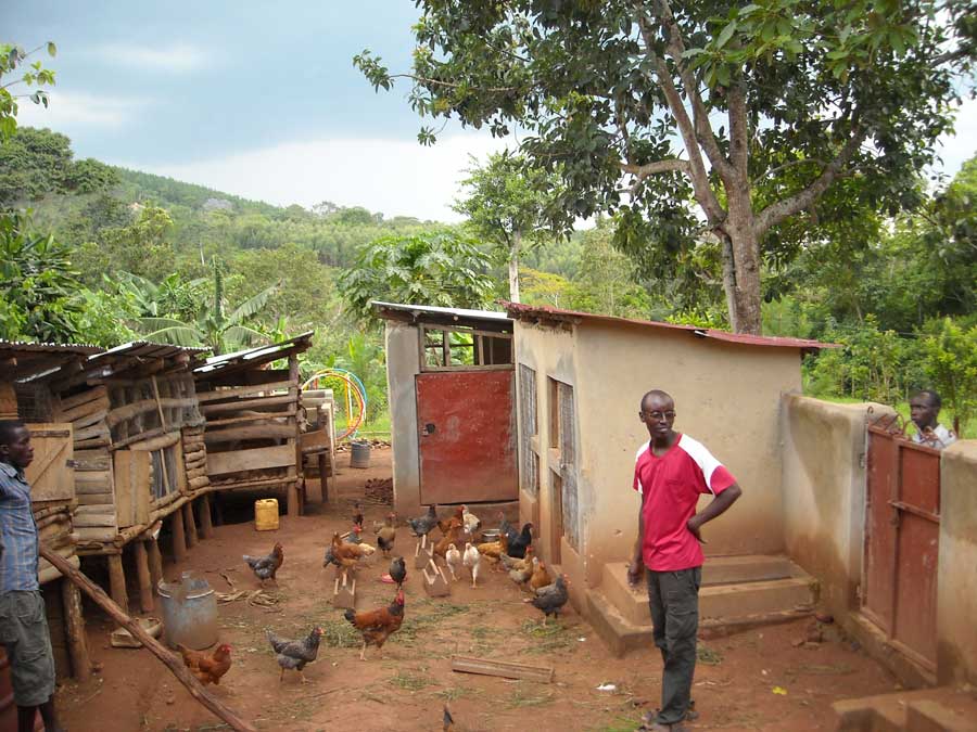 farmersfamiliesfutureuganda3498