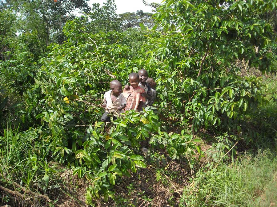 farmersfamiliesfutureuganda3548