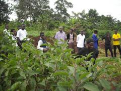 farmersfamiliesfutureuganda3552