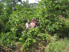 farmersfamiliesfutureuganda3548